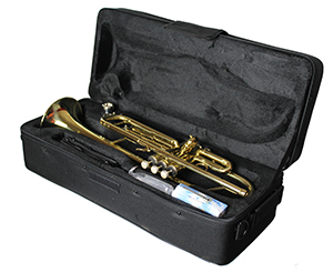 Children's trumpets best sale sale